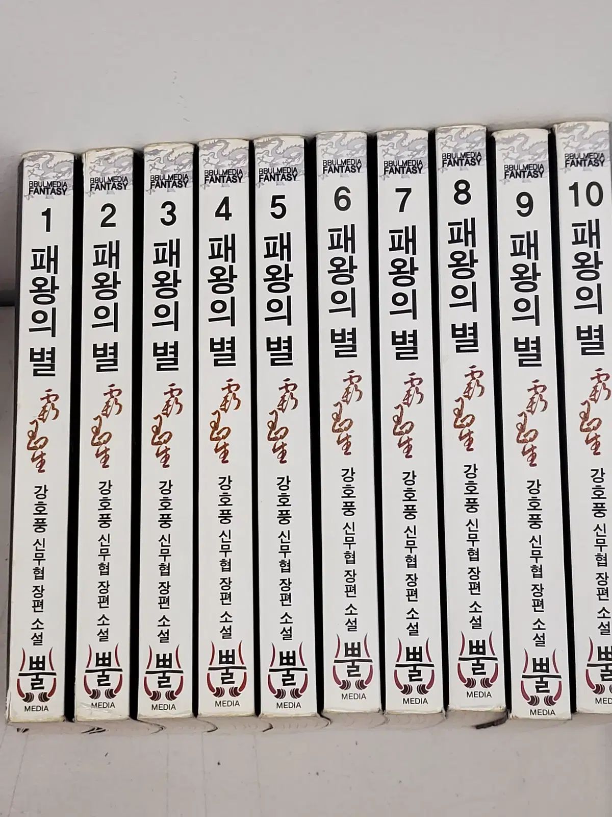 覇王の星 江湖風 1 30 完結 小説 新武侠小説