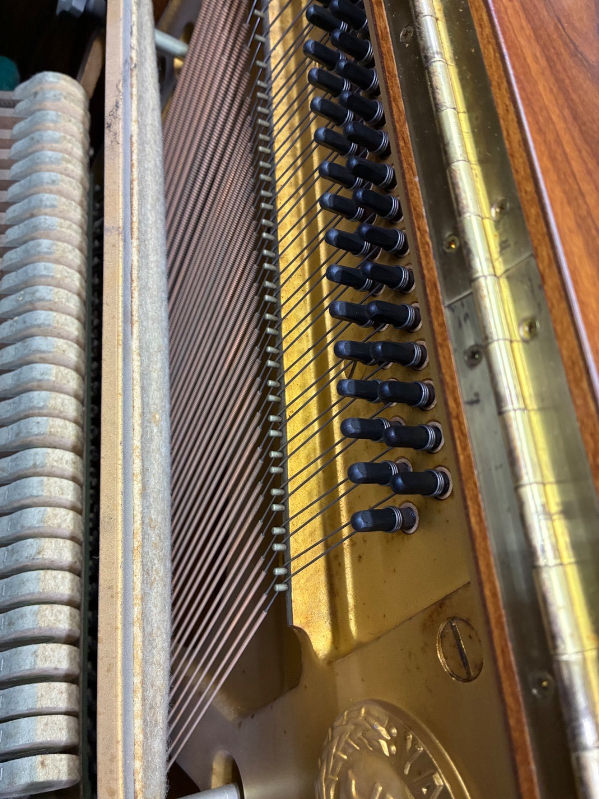 品シリーズ ヤマハ W 101アメリカンチーク 外装 保証付き内部確り