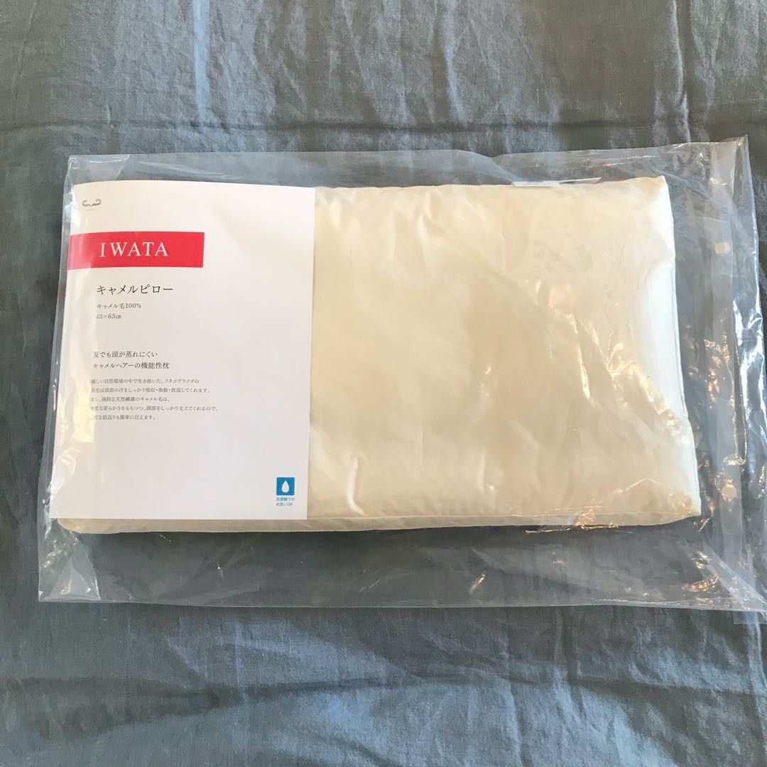 キャメルピロー 2.5 cm IWATA