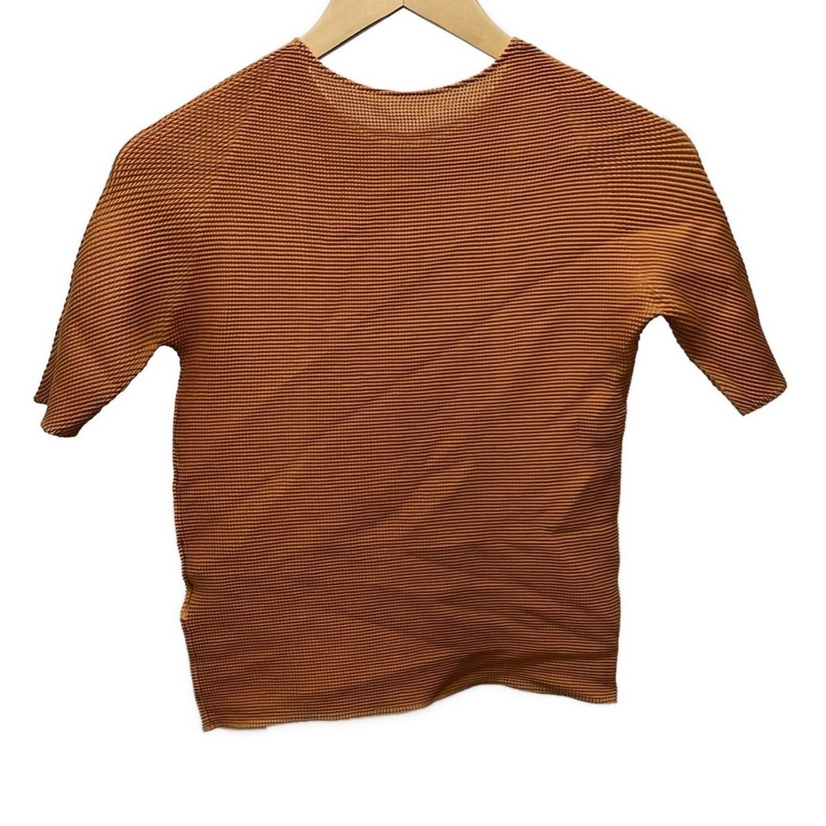 イッセイミヤケ 半袖カットソー サイズ3 L レディース ブラウン プリーツ ストレート 半袖(Tシャツ) 