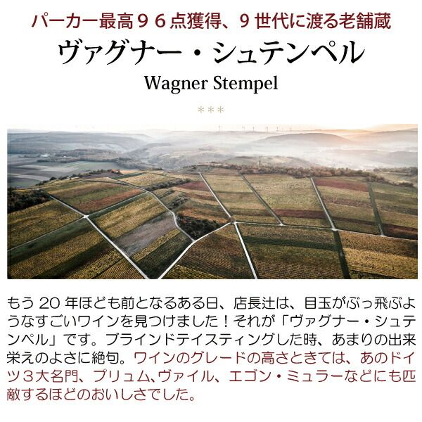 2022 ジーファースハイム ヘルベルク リースリング G.G トロッケン 750ml ヴァグナー シュテンペル ドイツ 白 コク辛口 ^E0WSLR22^