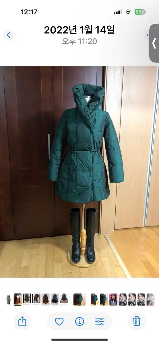 プログラム レディースダウン 85 グリーン カラー