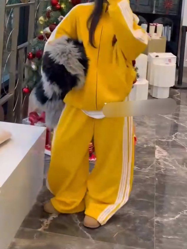 2種セット ピスタチオ 2種 セットアップ