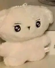 チャ・ウヌ ぬいぐるみ ショップからお知らせ 【公式通販】