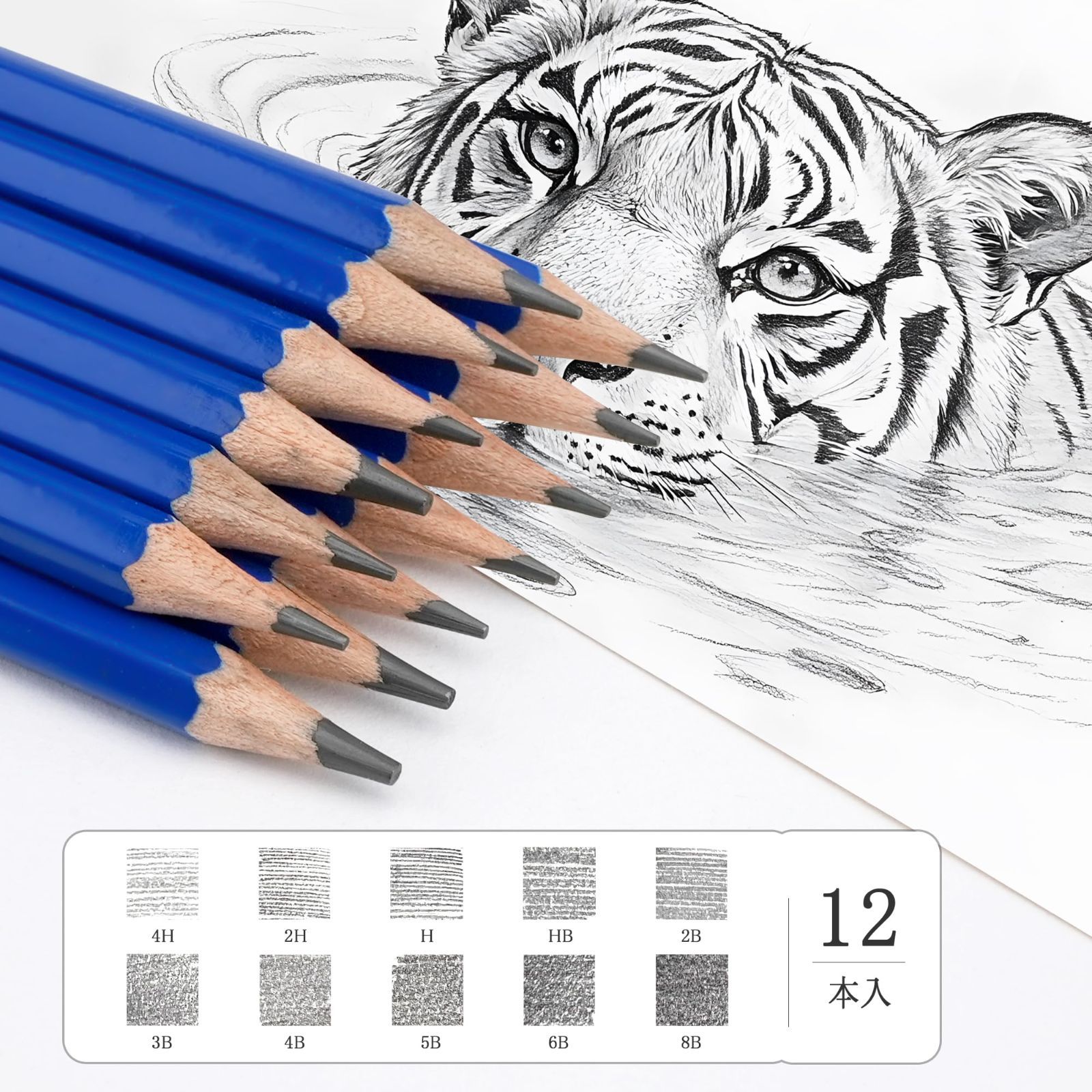 スケッチ鉛筆 12本セット - デッサン鉛筆 4H～8B プロ仕様 - 芸術家