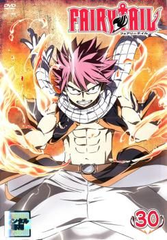 訳あり】FAIRY TAIL フェアリーテイル 30(第117話～第120話) ※ディスク