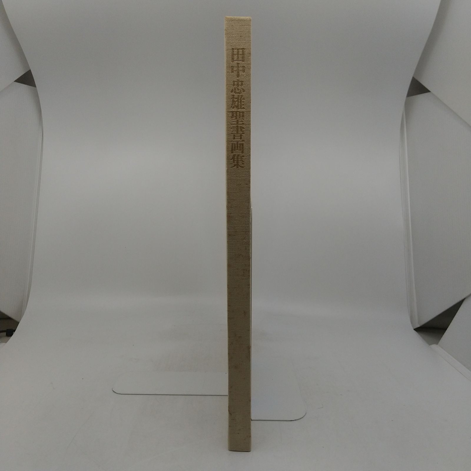 田中忠雄聖書画集 教文館 1978年(昭和53年)発行初版 BIBLICAL PAINTING