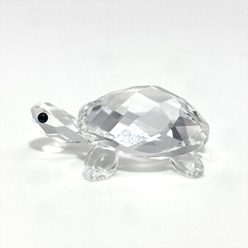 ベイビータートル