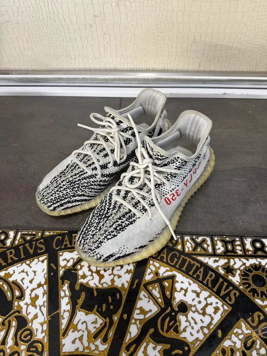 イージーブースト 350 V 2 ゼブラ