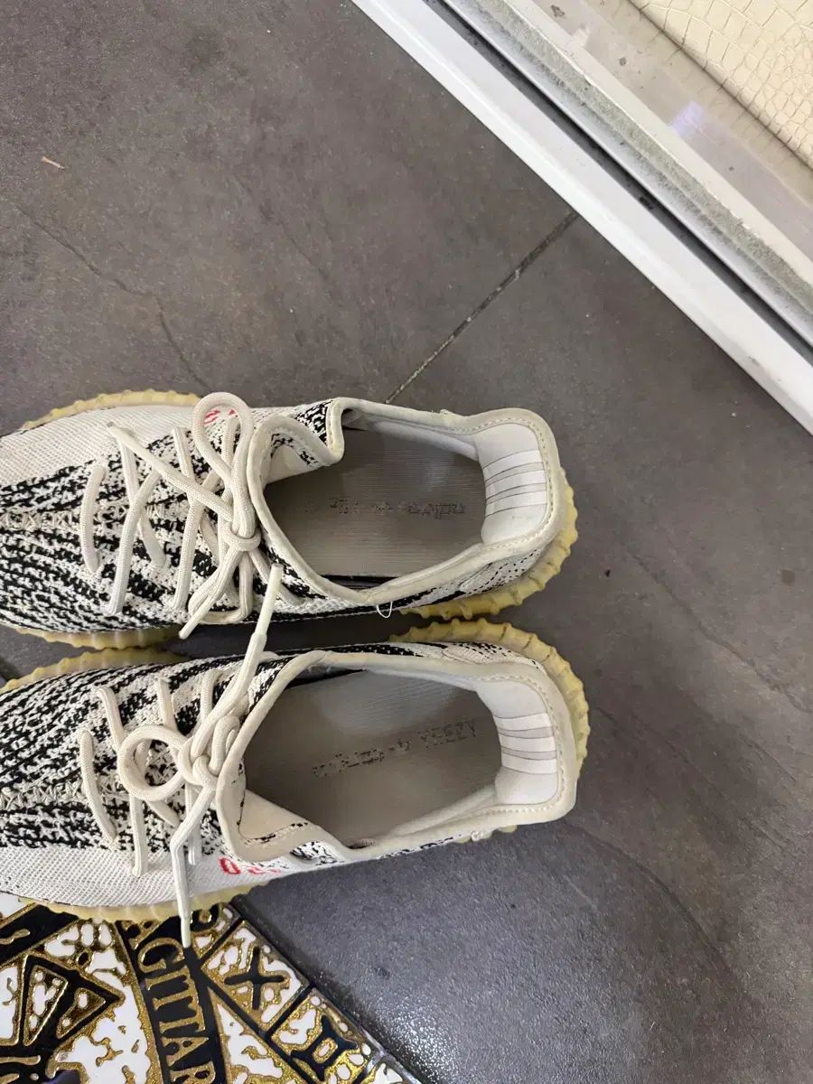 イージーブースト 350 V 2 ゼブラ