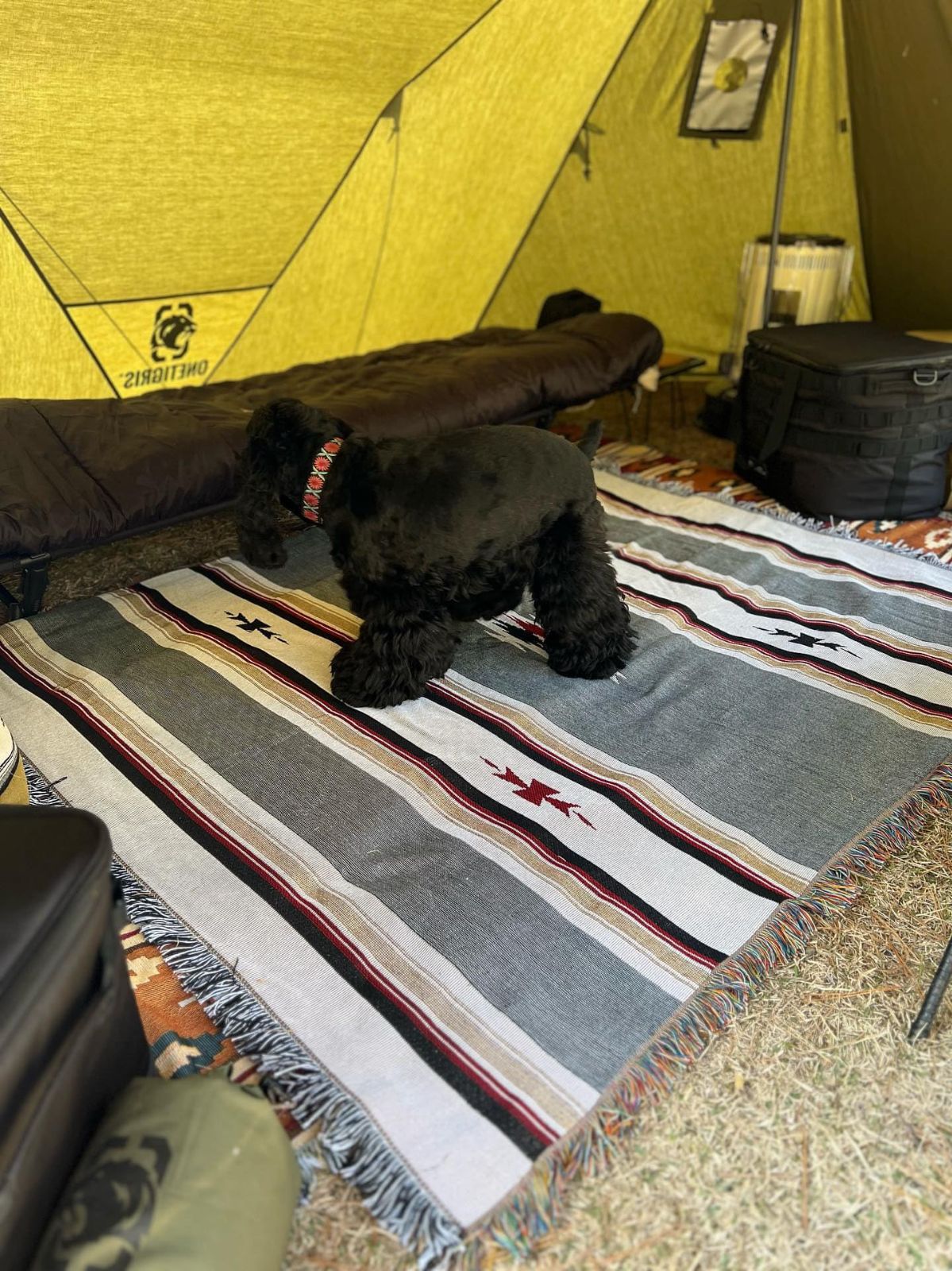 キャンプアウトドアグレイ130 X