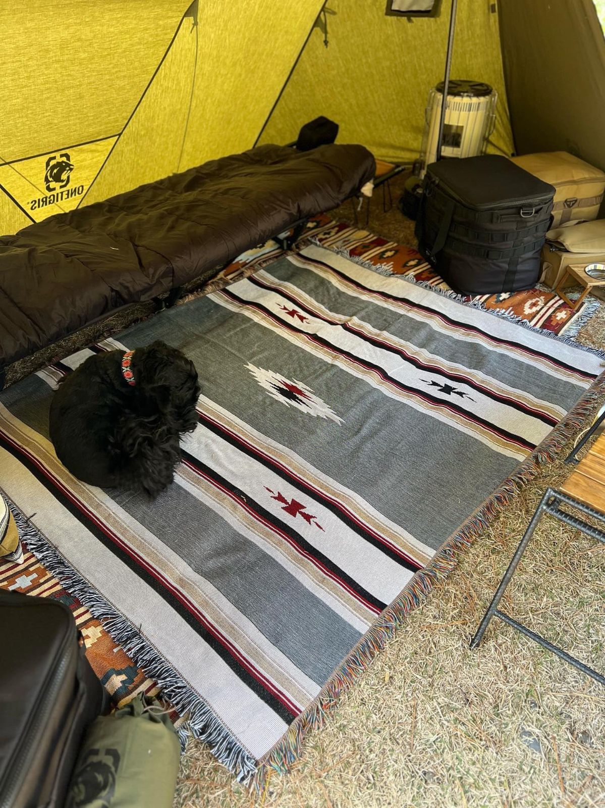 cm…… オルテガ柄