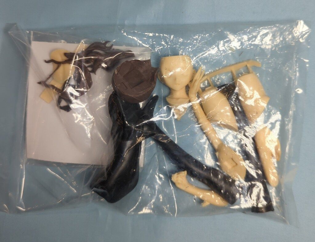 thepoppypuppet カラーレジンキャストキット 原型 奥村幸生 中多紗江