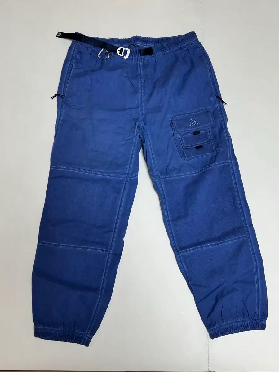 NIKE acg ウォッチマン パンツ L サイズ