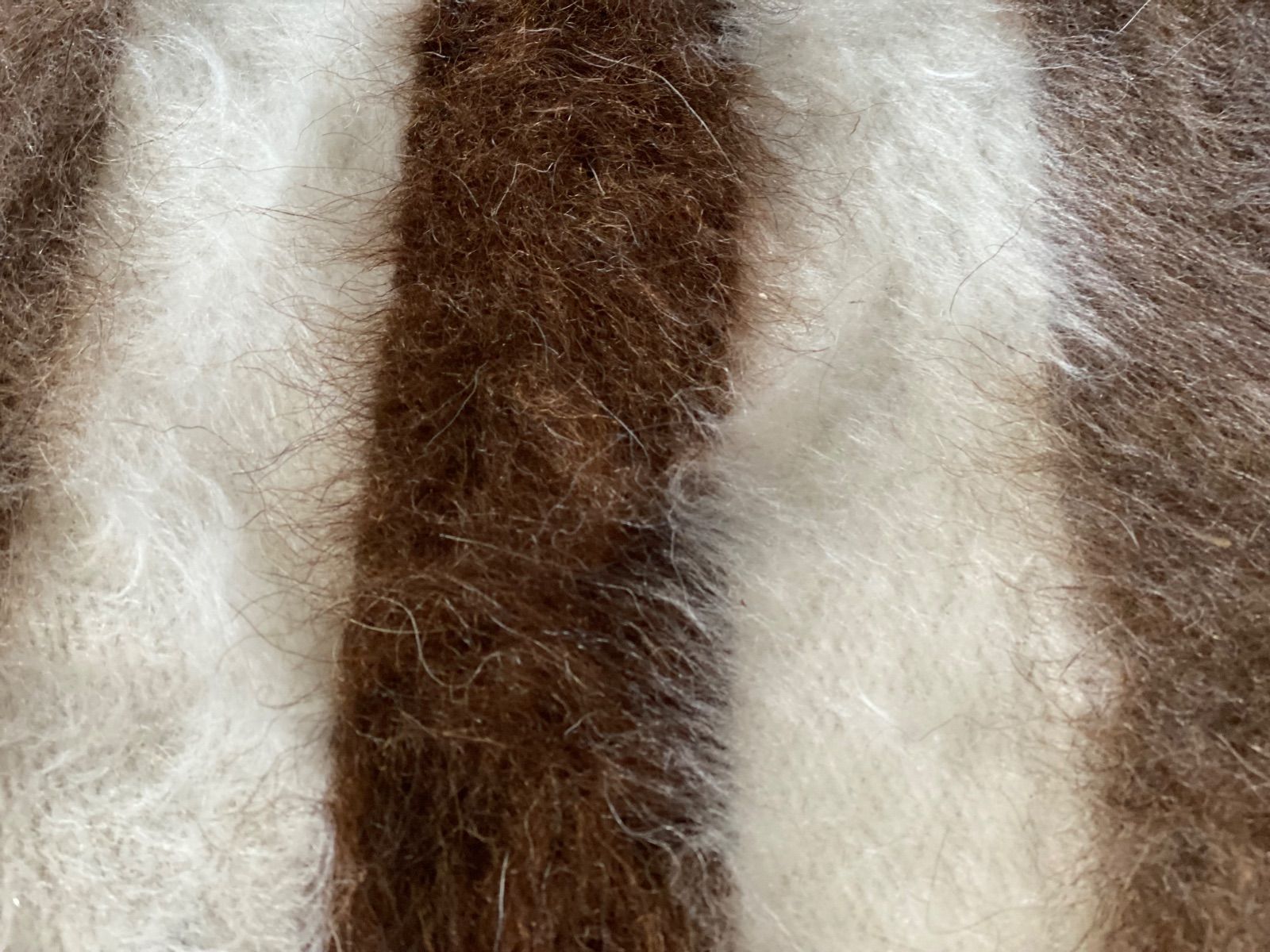 トルコのシイルトで140年前から伝統的に織られているアンゴラヤギの