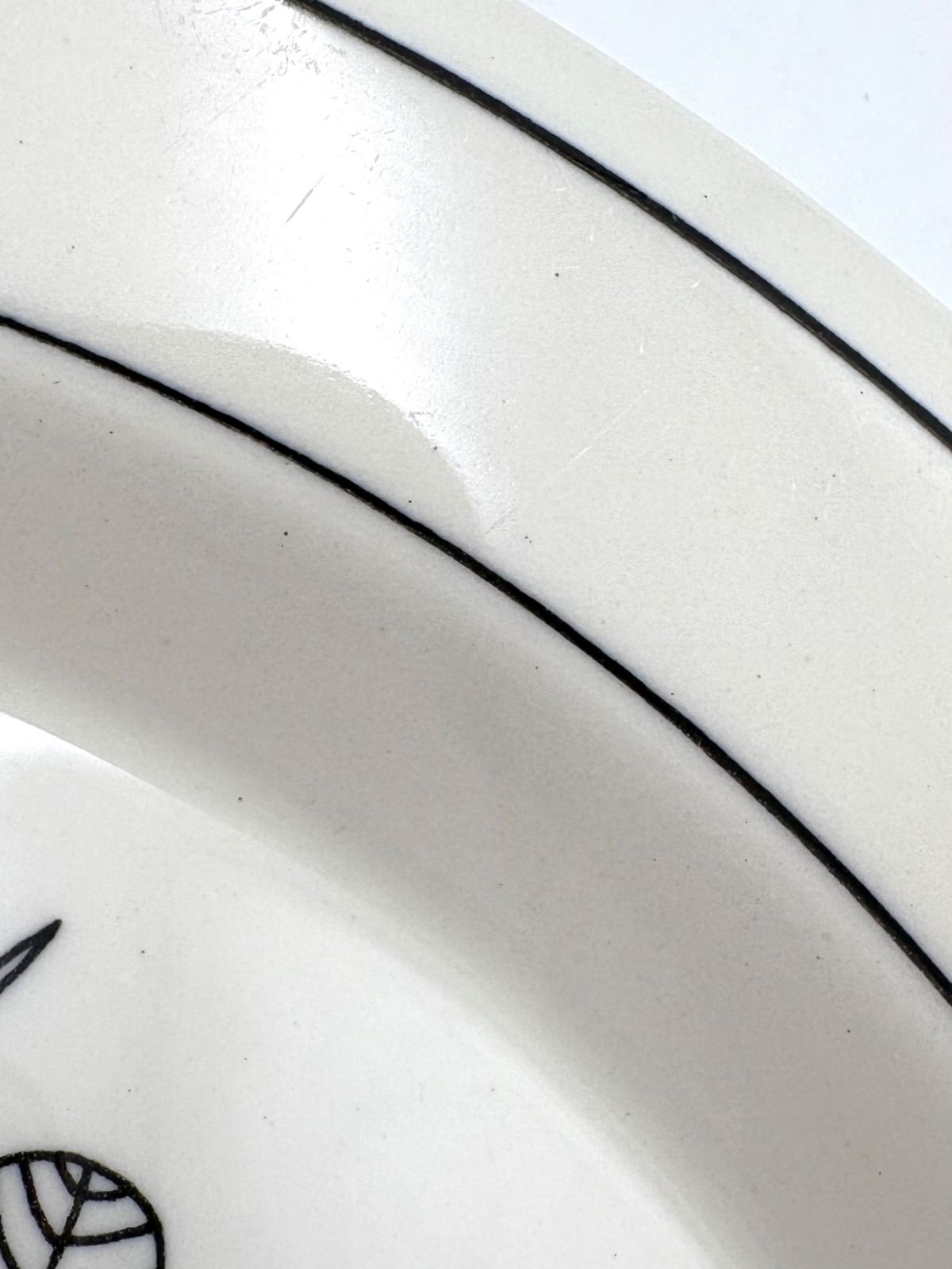 アラビア クロッカス