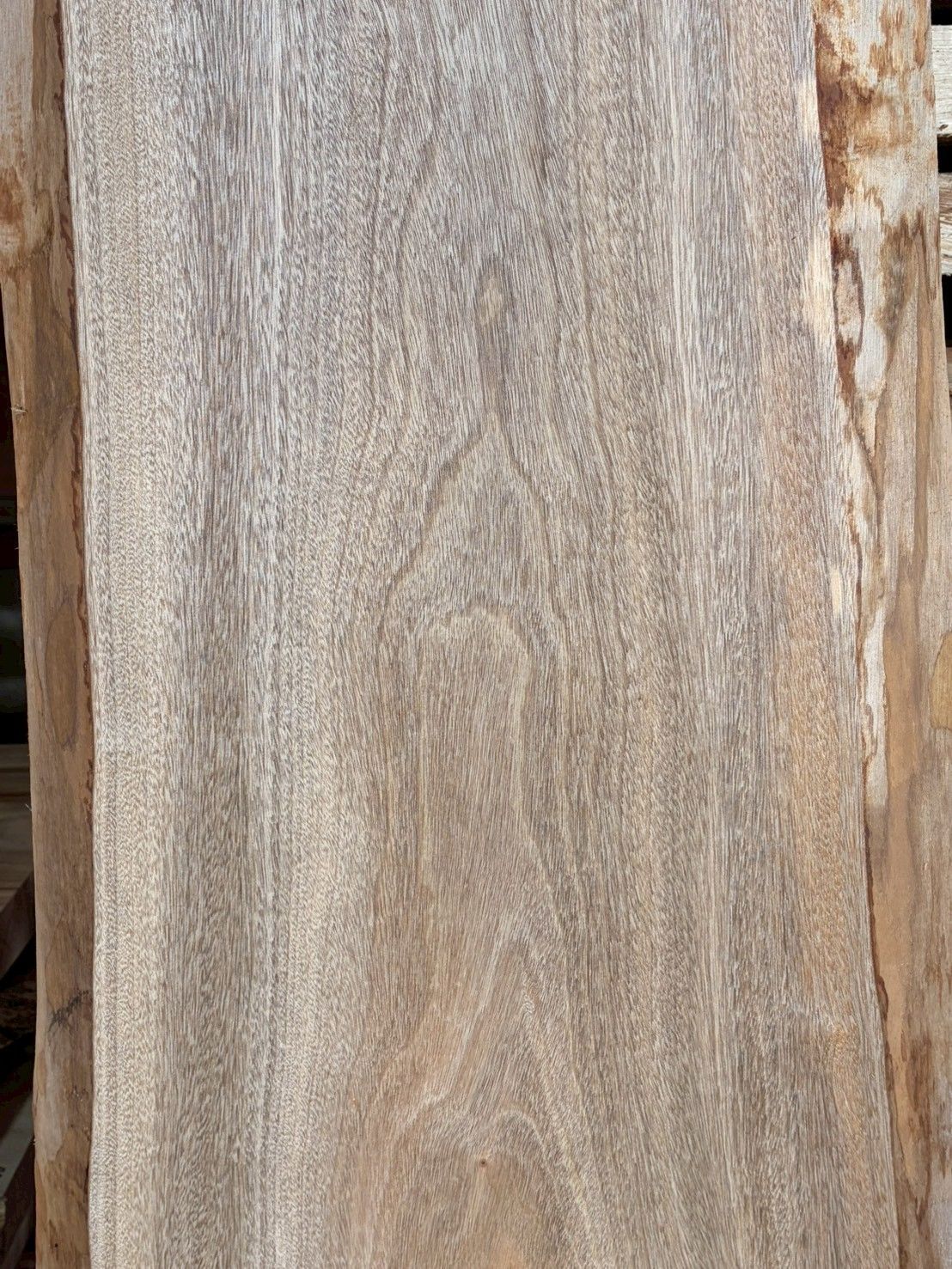  楠 M 057 一枚板 乾燥材 棚板 カウンター テーブル DIY 耳付 天板 座卓 テレビボード 全国都道府県 営業所止 木材 材料 資材