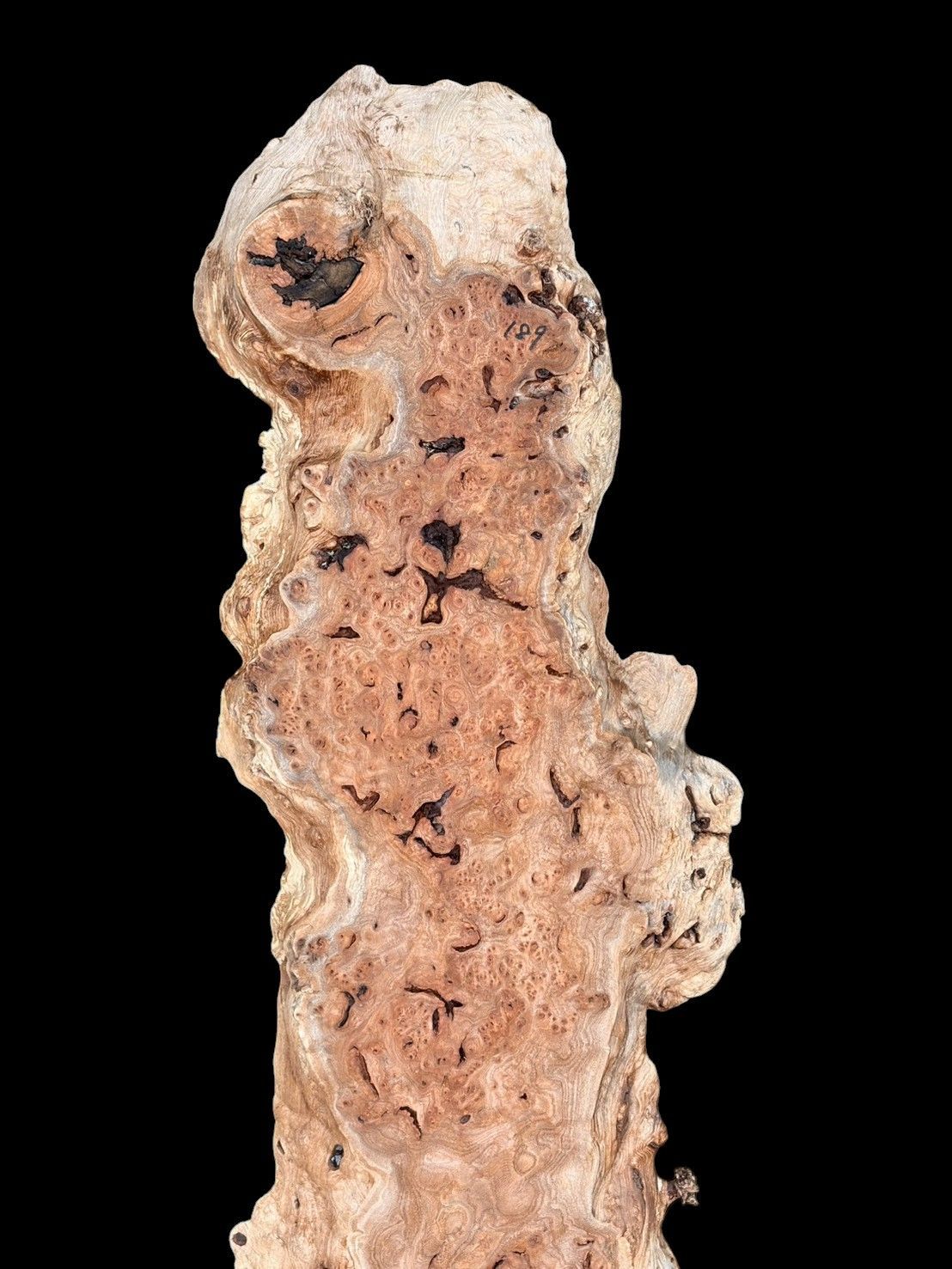 楡瘤 M 189 レジン用 一枚板 乾燥材 棚板 カウンター テーブル DIY 天板 テレビボード 全国都道府県