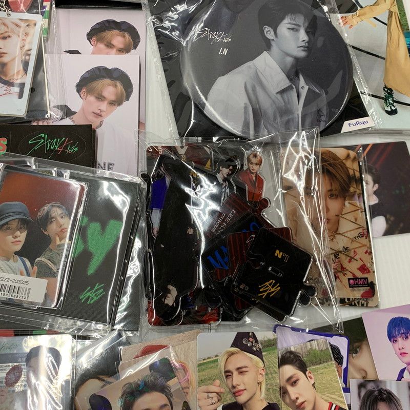 現状渡し品 Stray