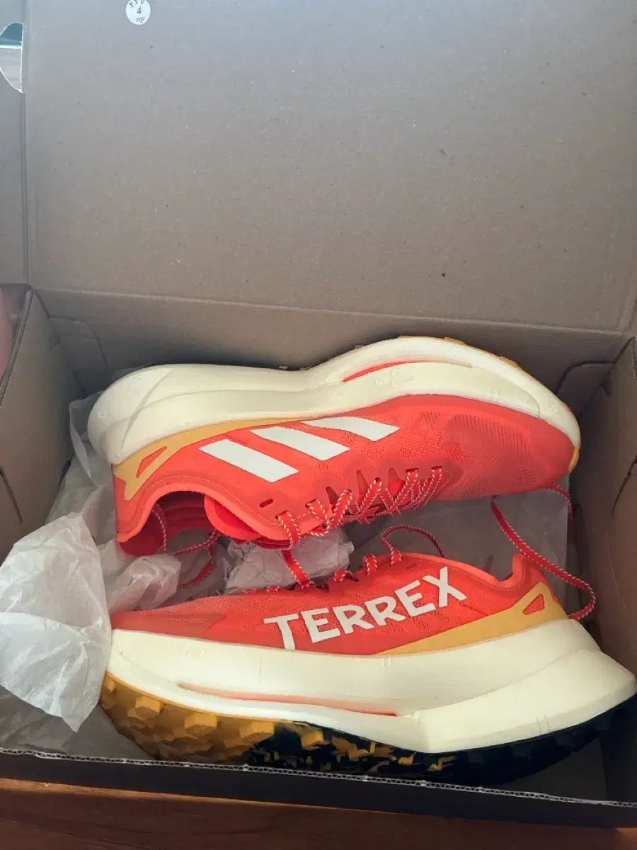 テレックス アグラビック スピード ウルトラ 240