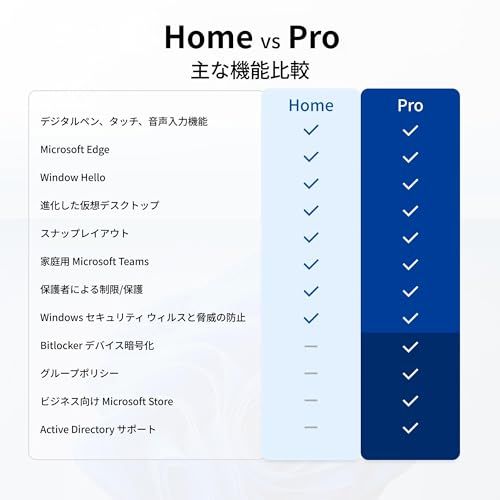 Windows 11 Pro用 DSPライセンス日本語版 m
