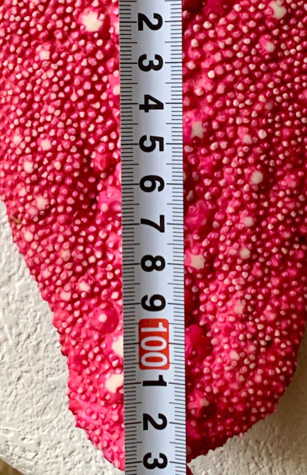  スタースティングレイ 18インチ ポリッシュ仕上げ 鮫皮 革 レザークラフト道具 材料