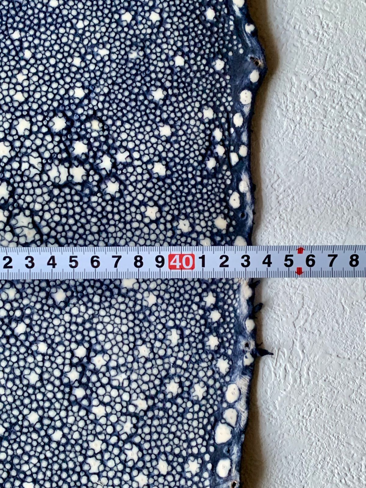 スタースティングレイ 17インチ ポリッシュ仕上げ 鮫皮