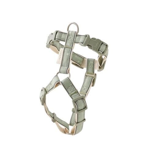 moncheri モンシェリ 犬 ハーネス 反射ほし柄ハーネス GREEN M かわいい おしゃれ ブランド トイプードル チワワ 小型犬