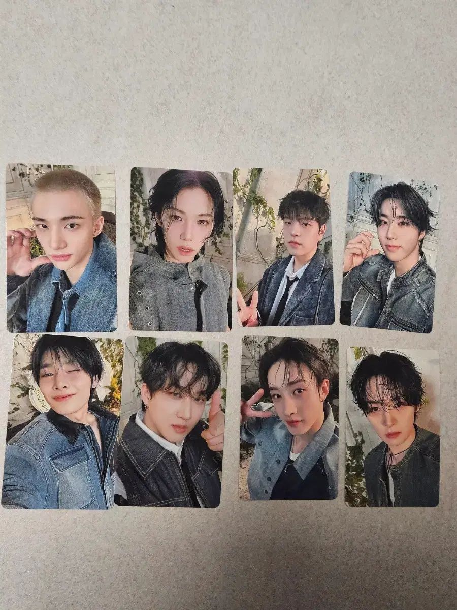 Stray Kids ストレイキッズ スキズ SKZ hollow japan トレカ 8種セット デニムデニム