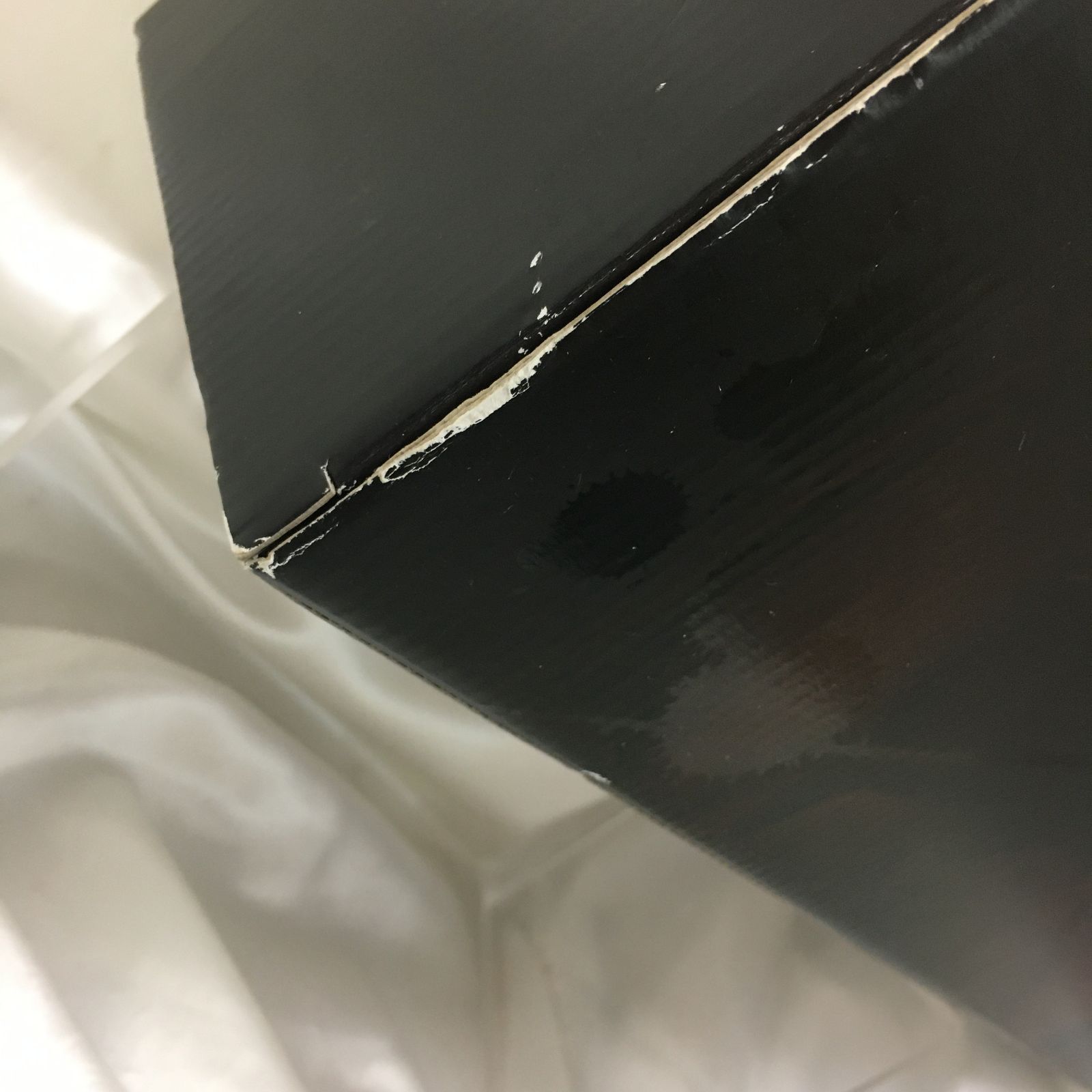 260105 コンプリートセレクションモディフィケーション