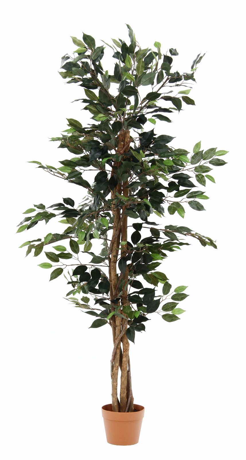 在庫処分 不二貿易 フェイクグリーン インテリアグリーン 人工観葉植物 幅60×奥行60×高さ150 cm フィカスA 6号鉢 大型 52661