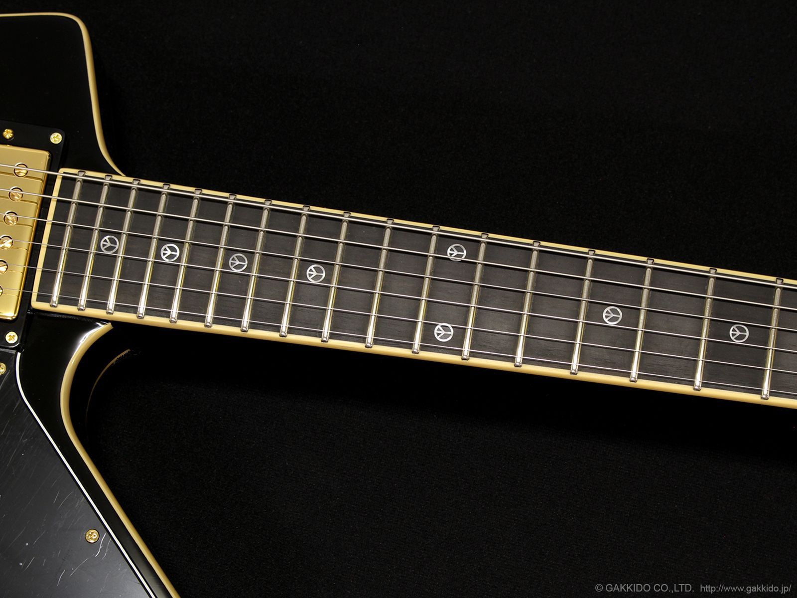 EDWARDS E-EP 猪狩秀平　シグネイチャー EDWARDS E-EP 猪狩秀平 シグネチャーモデル（新品/送料無料）【楽器