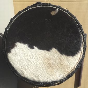 中型ドゥンドゥン