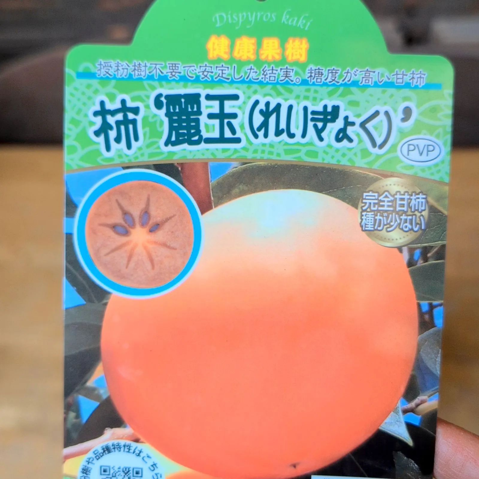 柿 麗玉　果樹苗木 麗玉】 接木苗 カキ [果樹苗木・柿] : ガーデン ストーリー - 通販