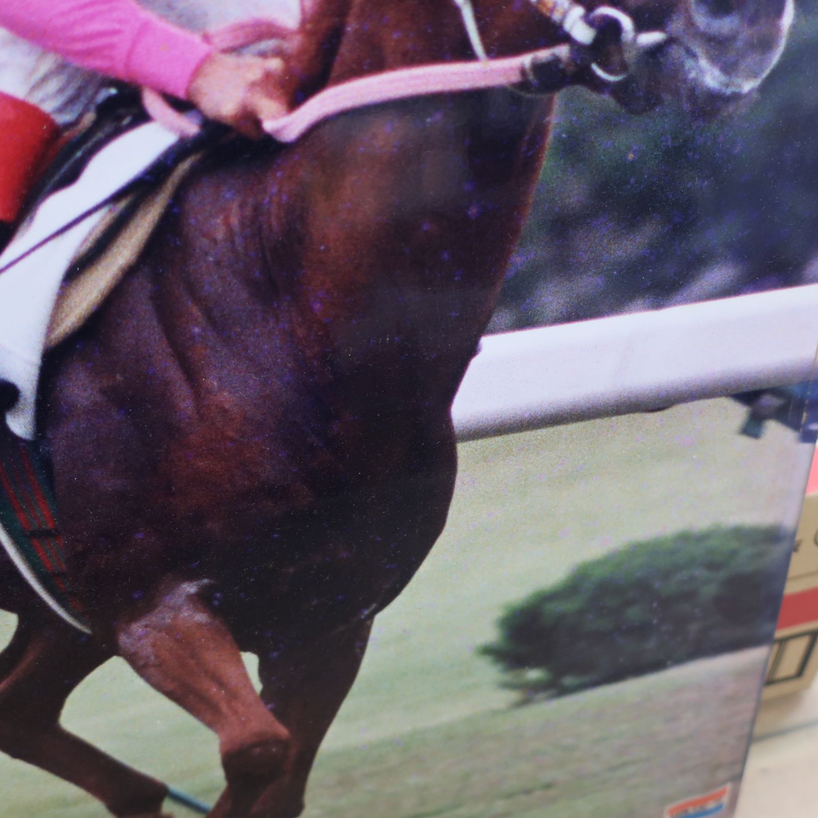 競馬 ミホノブルボン 第59回日本ダービー 競馬写真 木製パネル - メルカリ