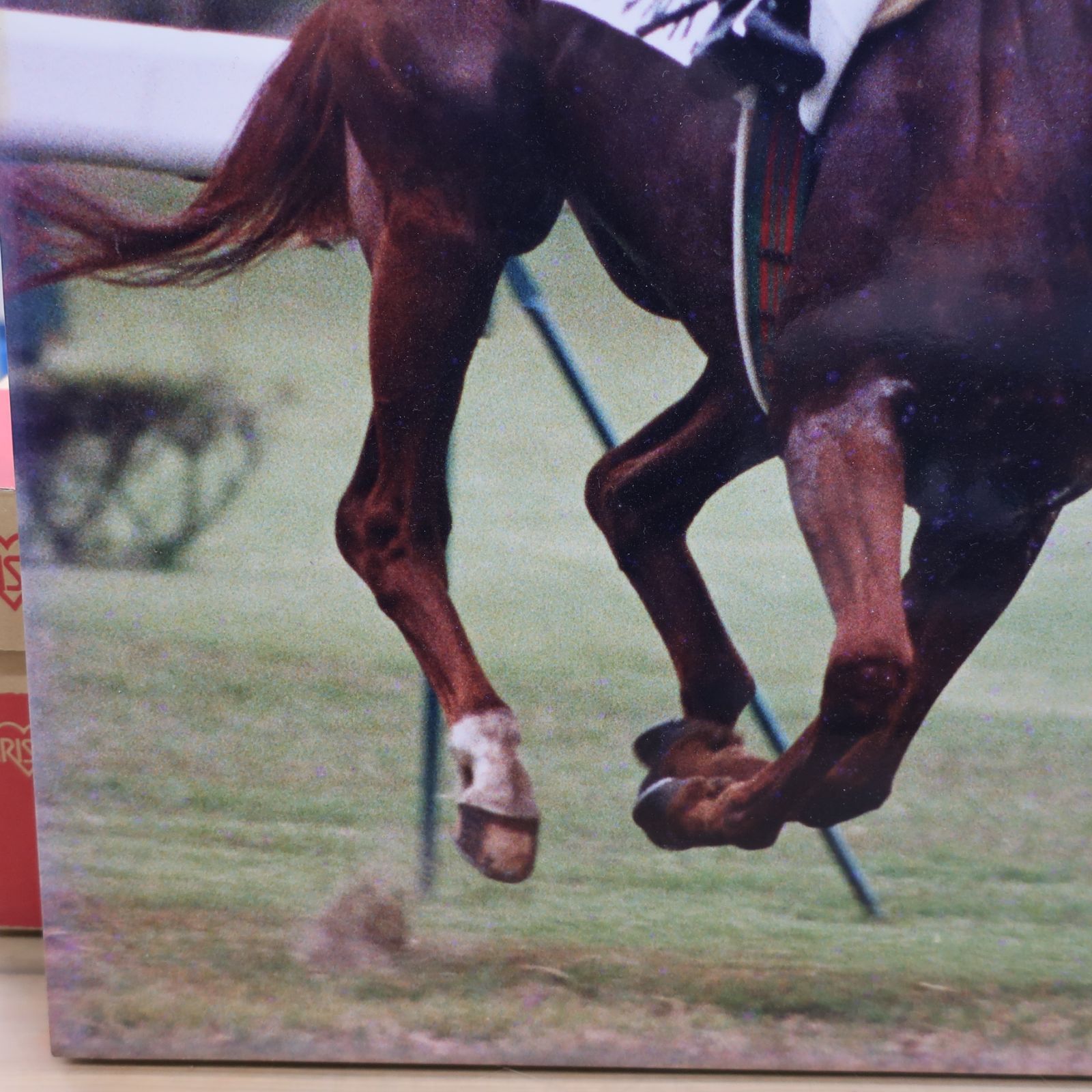 ミホノブルボン木製パネル 競馬 ミホノブルボン 第59回日本ダービー 競馬写真 木製パネル - メルカリ