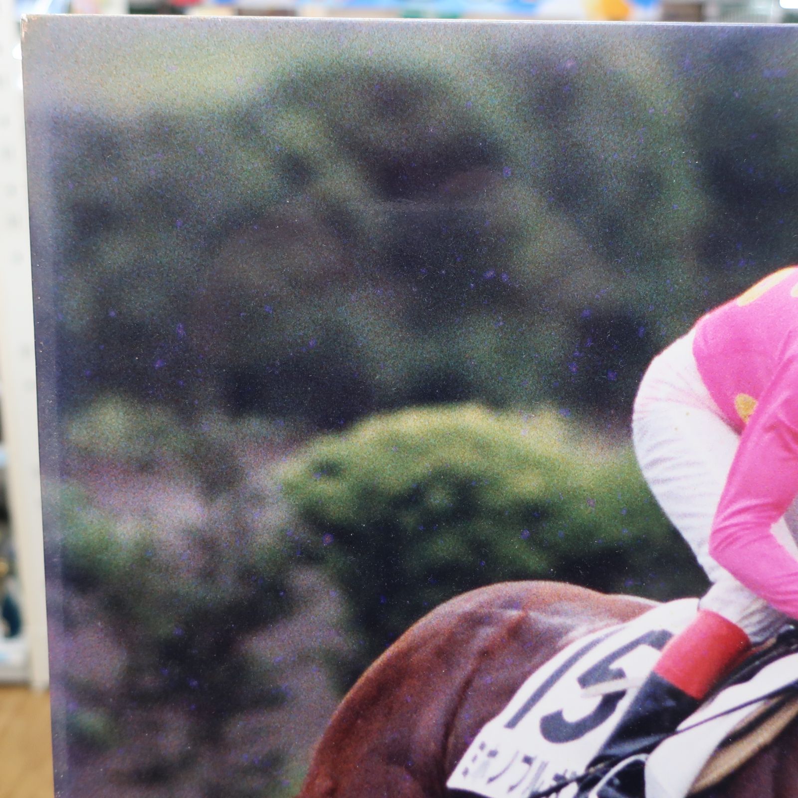 競馬 ミホノブルボン 第59回日本ダービー 競馬写真 木製パネル - メルカリ