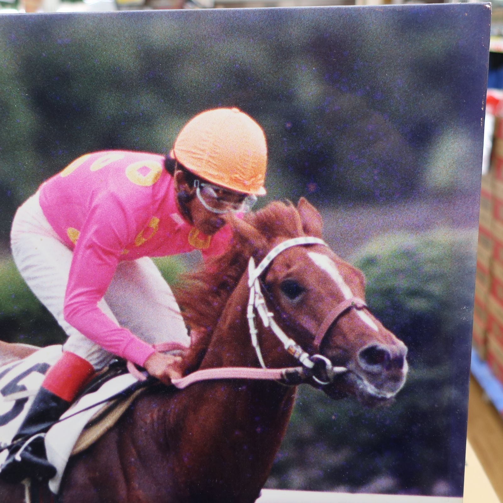 競馬 ミホノブルボン 第59回日本ダービー 競馬写真 木製パネル - メルカリ