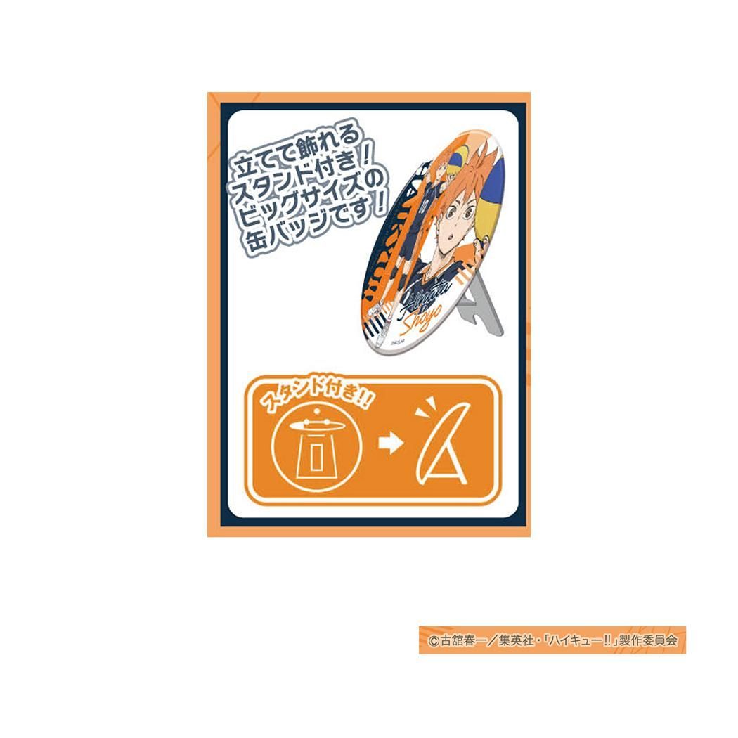 ハイキュー！！ 缶バッジ BIGカンバッジコレクション Vol.2 全9種 9個