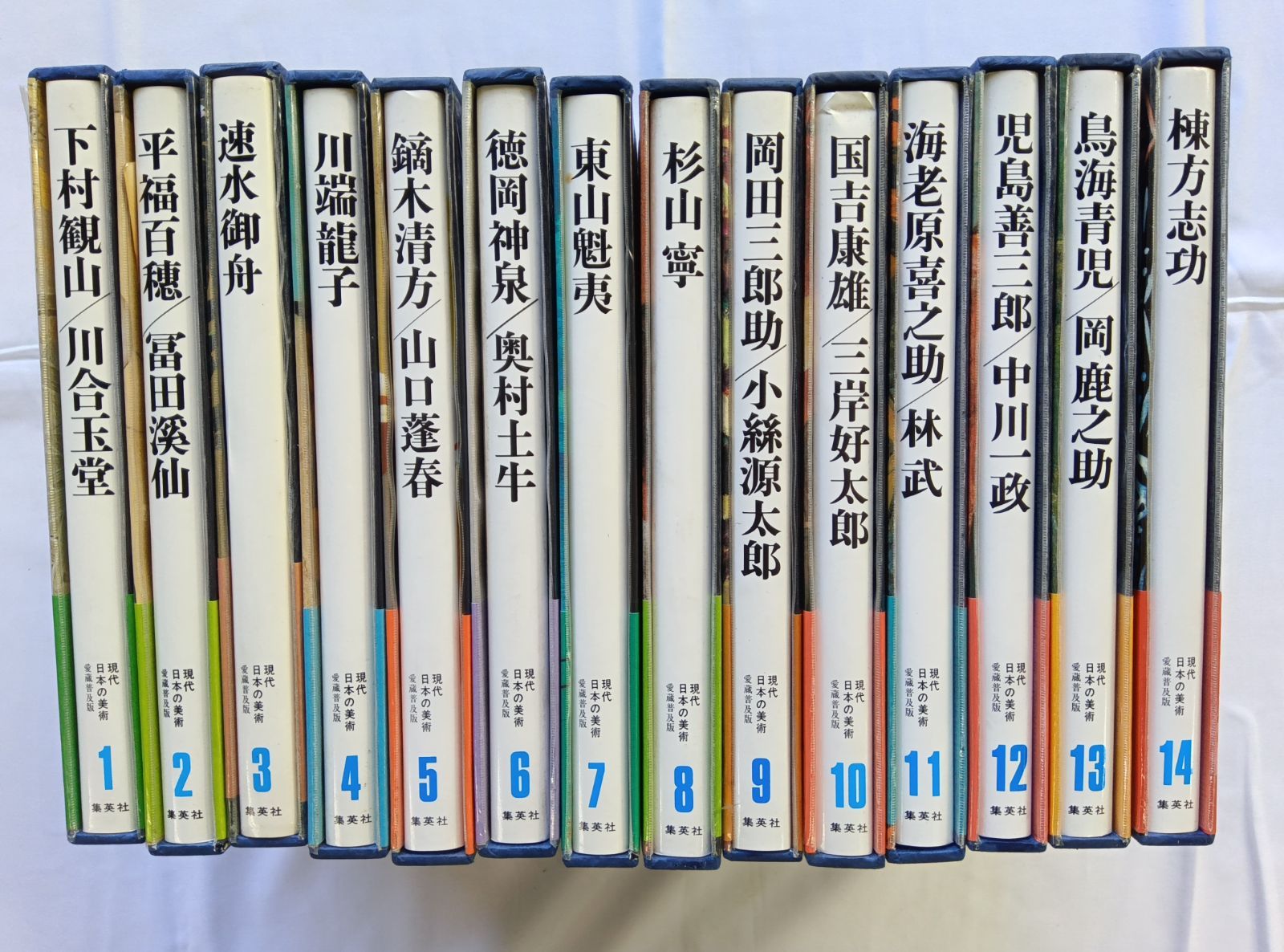 集英社 現代日本の美術（愛蔵普及版）全14巻 - メルカリ