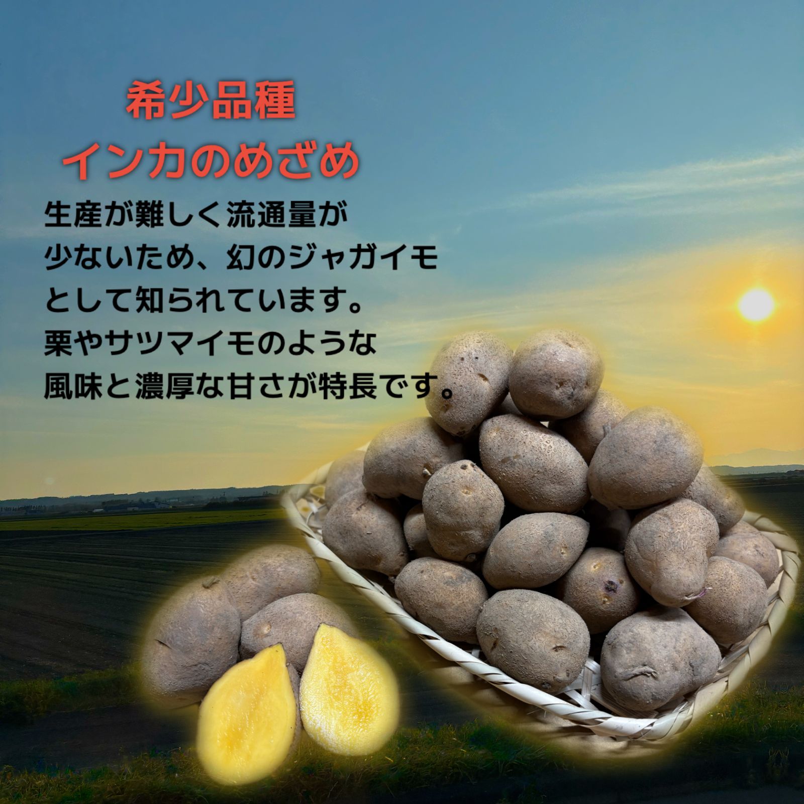 幻のインカのめざめS 10kg 北海道十勝産 越冬 - メルカリ