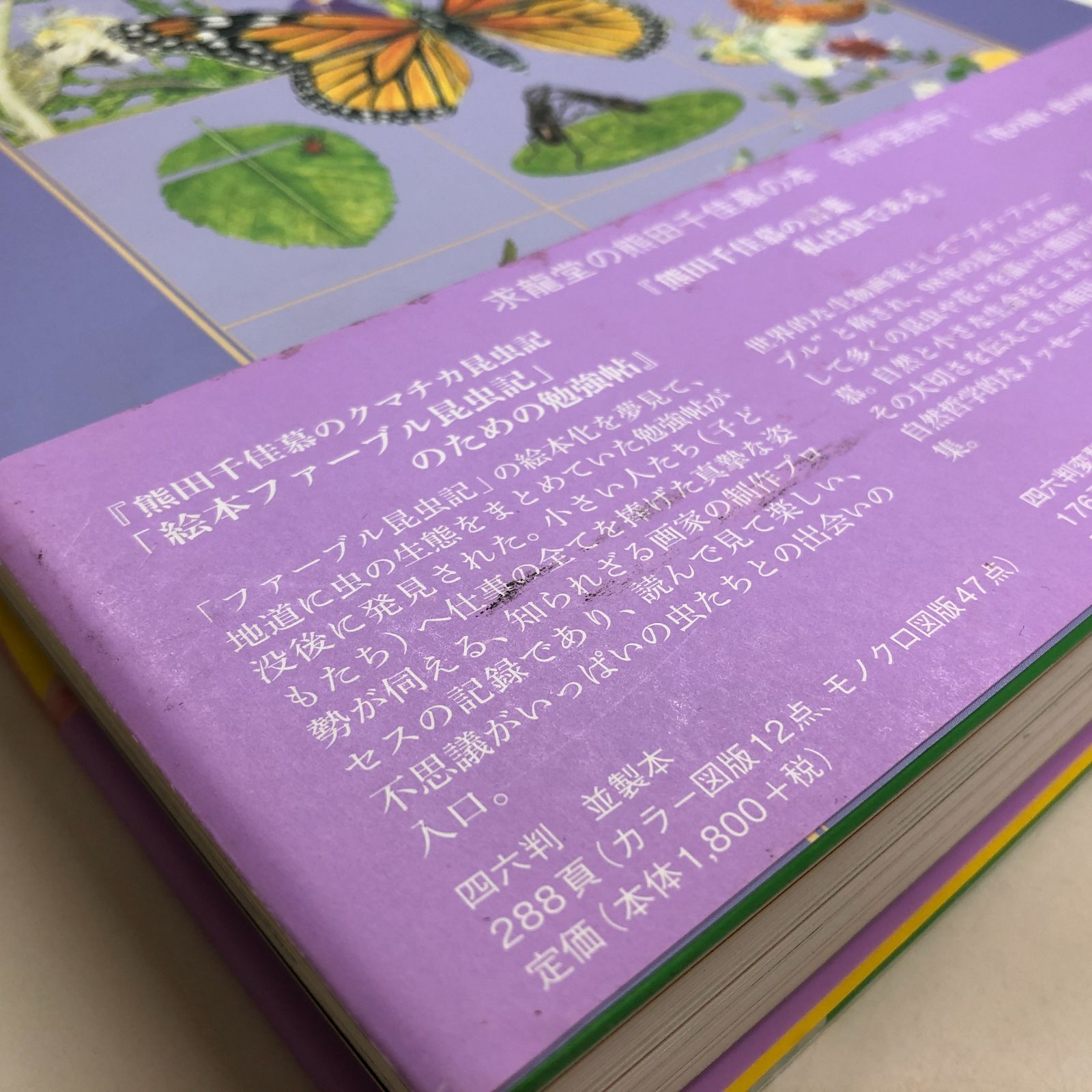 ◇[N]熊田千佳慕 クマチカ先生の図鑑画集 - メルカリ