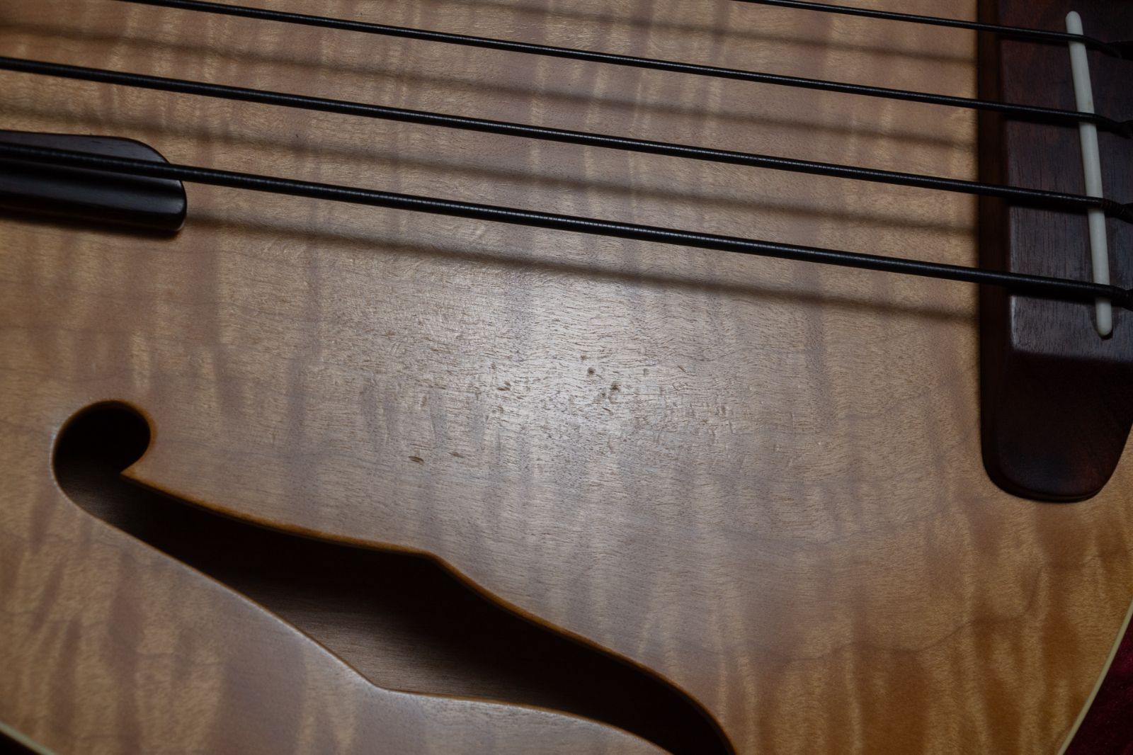  Rob Allen Mouse 30 Fretless NAT 2 490 kg 1109 GIB横浜 エレキベース ベース