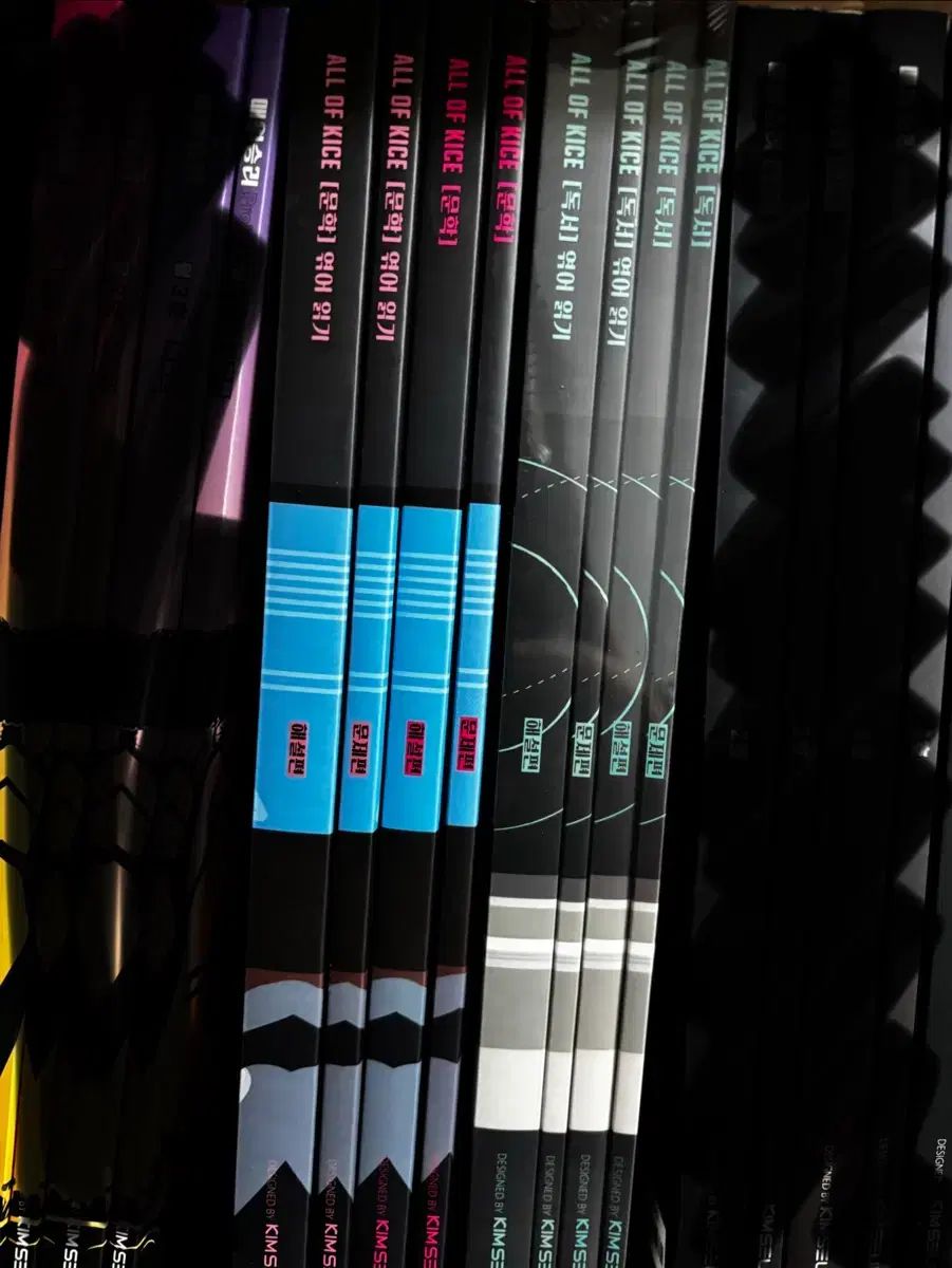 2026 キム スンリ オールオルプカ