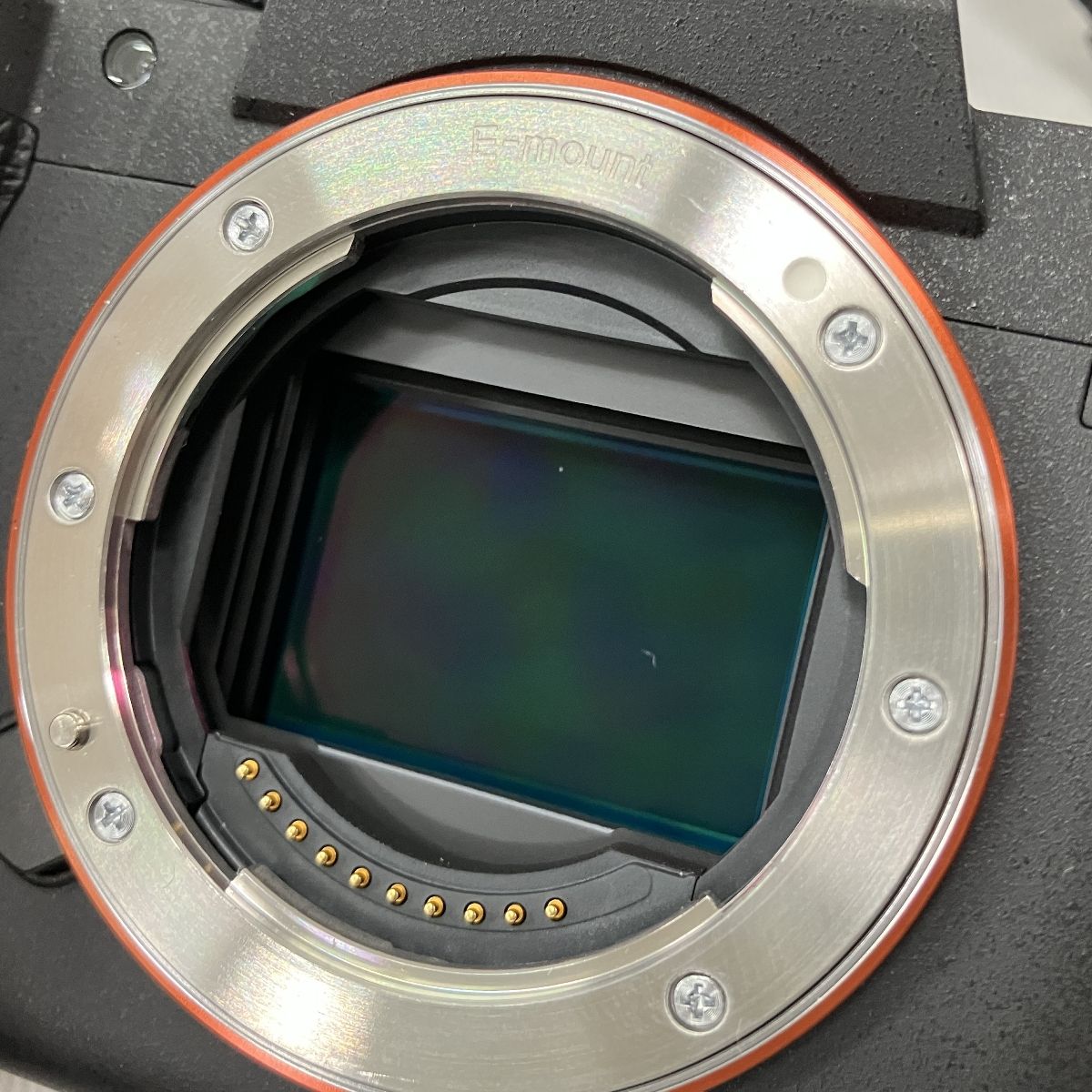 ボディ フルサイズ