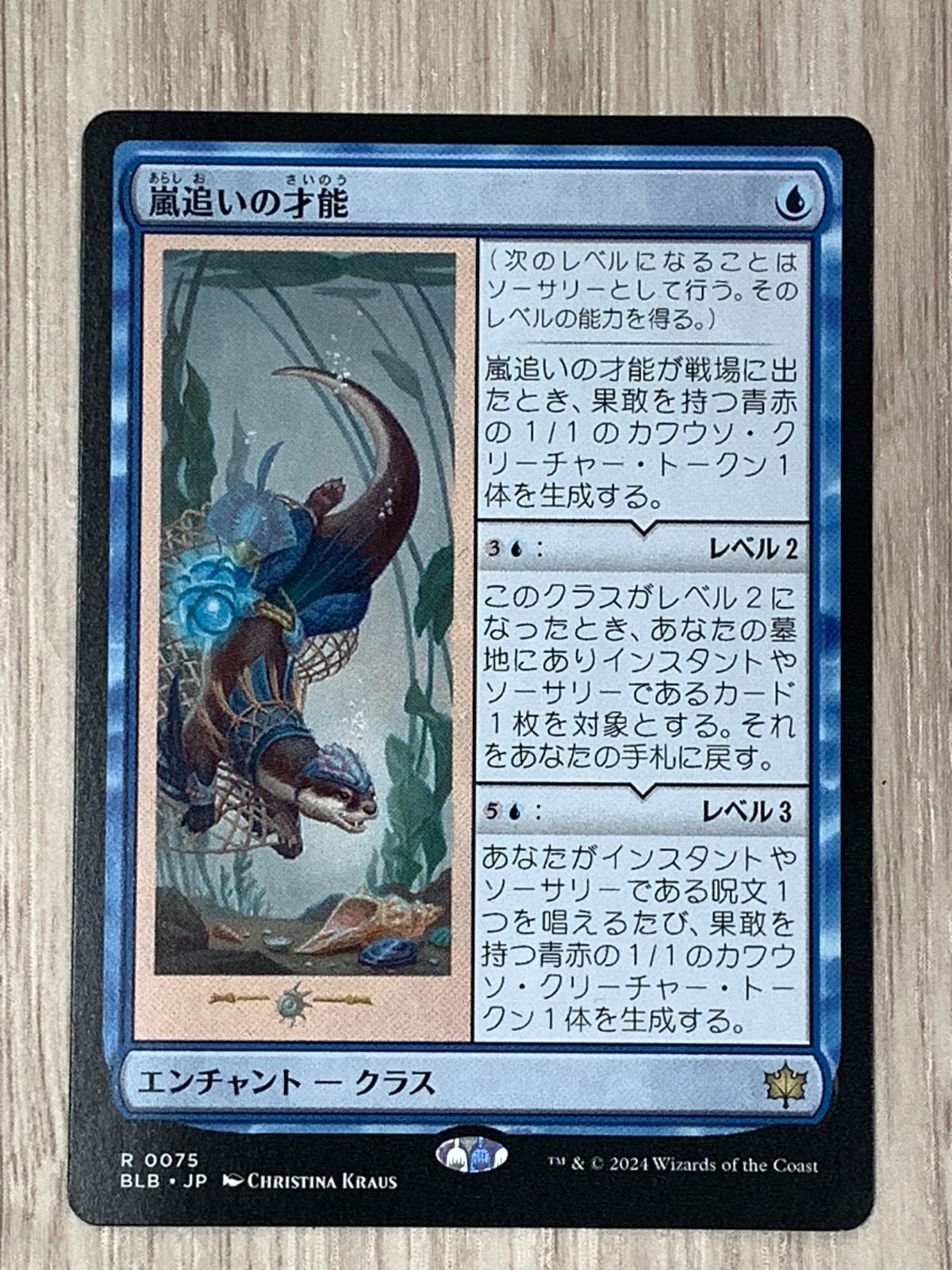  マジック ザ ギャザリング 嵐追いの才能 R 0075 BLB セット マジック：ザ ギャザリング トレーディングカード