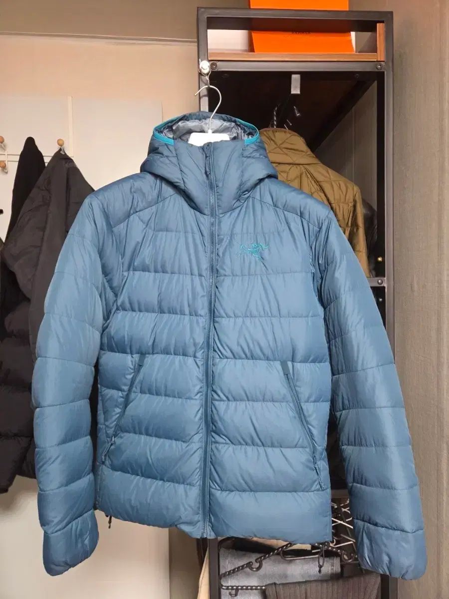 ARC TERYX アークテリクス トーリアム SV WHO フーディー