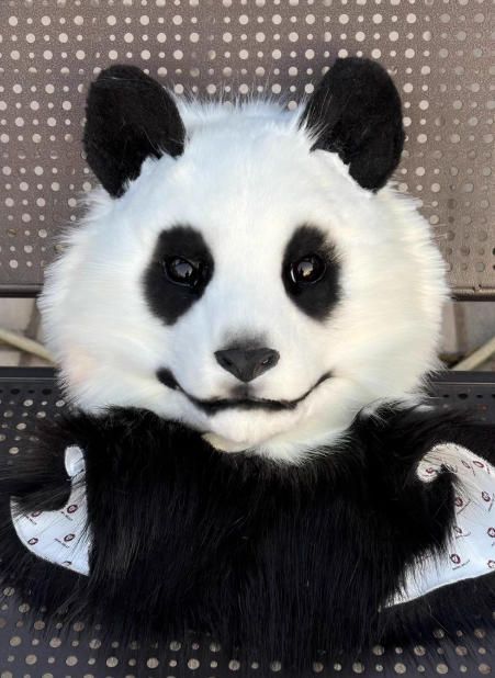 着ぐるみヘッド パンダ NO 487 リアルスタイル 全頭ヘッド ケモノ ファースーツ ぬいぐるみ コスプレ コスチューム kigurumi 一点物