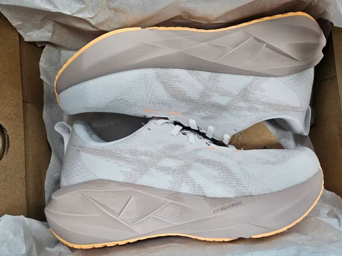 アシックス ノヴァブラスト 5 245 mm