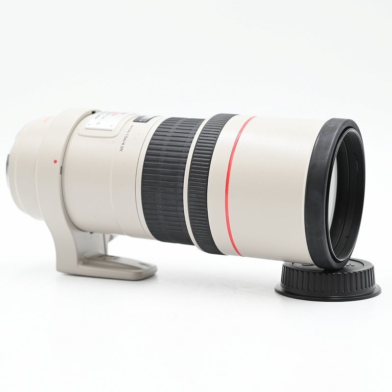 Canon キャノン 単焦点望遠レンズ EF 300 mm F 4 L IS USM フルサイズ対応 交換レンズ